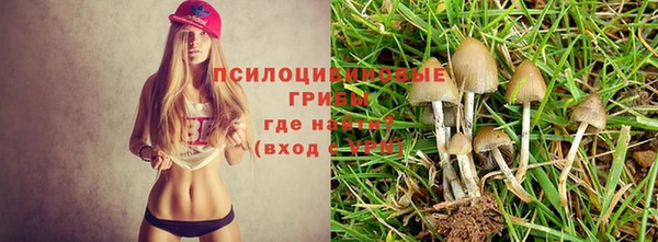 ешки Зерноград