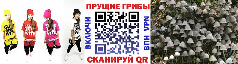 Псилоцибиновые грибы GOLDEN TEACHER  Тюкалинск 